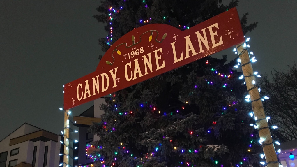 History of Candy Cane Lane